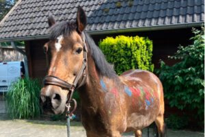 bauernhofpaedagogik_zg_11