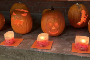 bauernhofpaedagogik_zg_5