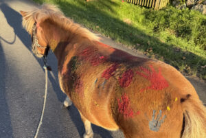 bauernhofpaedagogik_zg_8